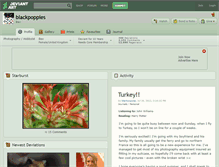 Tablet Screenshot of blackpoppies.deviantart.com