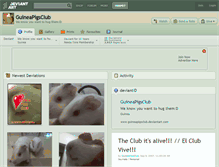 Tablet Screenshot of guineapigsclub.deviantart.com