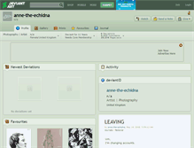 Tablet Screenshot of anne-the-echidna.deviantart.com