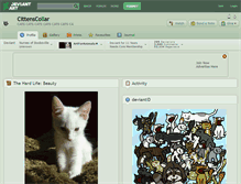 Tablet Screenshot of cittenscollar.deviantart.com