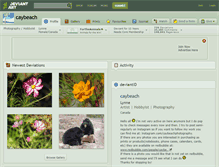 Tablet Screenshot of caybeach.deviantart.com