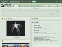 Tablet Screenshot of foto-pro.deviantart.com