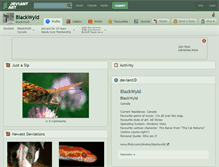 Tablet Screenshot of blackwyld.deviantart.com