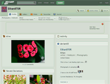 Tablet Screenshot of ethan8t0r.deviantart.com