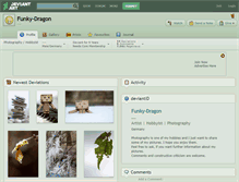 Tablet Screenshot of funky-dragon.deviantart.com