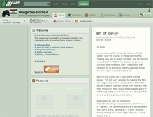 Tablet Screenshot of hungarian-horse.deviantart.com