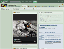 Tablet Screenshot of macrophoto.deviantart.com