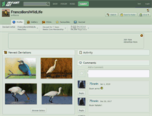 Tablet Screenshot of francoborsiwildlife.deviantart.com