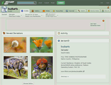 Tablet Screenshot of budsarts.deviantart.com