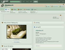 Tablet Screenshot of didarabocchi.deviantart.com