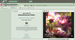 Desktop Screenshot of macrocollections.deviantart.com