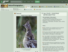 Tablet Screenshot of naturephotographs.deviantart.com