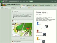 Tablet Screenshot of parrot-photography.deviantart.com