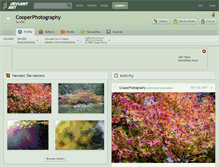 Tablet Screenshot of cooperphotography.deviantart.com