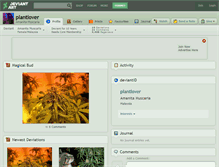 Tablet Screenshot of plantlover.deviantart.com