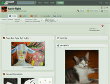Tablet Screenshot of hawk-flight.deviantart.com